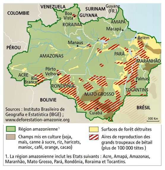 Amazzonia divorata dal Sud