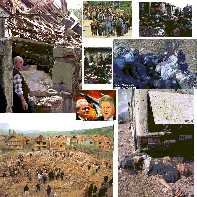 collage.jpg (120825 byte)