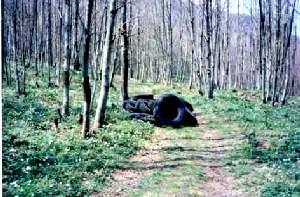 Gomme di auto in un bosco dell'Irpinia