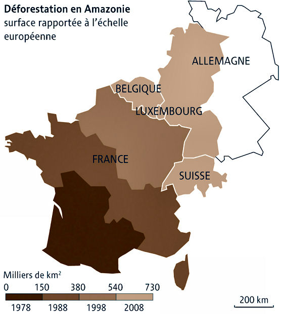 Immense superfici deforestate