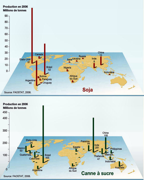 Produzione mondiale di soia e canna sa zucchero